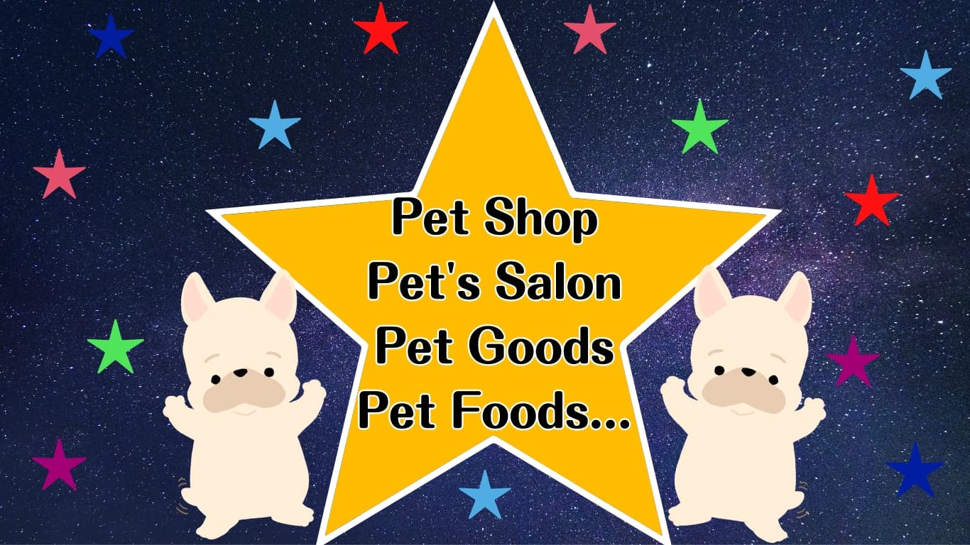 かわいい猫の画像 part2 